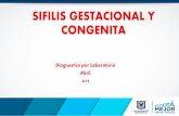 SIFILIS GESTACIONAL Y CONGENITA - saludcapital.gov.co · ALGORITMO SUGERIDO No se cuente con la prueba de RPR ó VDRL Según la OMS Sangre Prueba ... Sifilis INTERPRETACIÓN 100 Excelente
