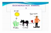 BIOENERGETICA ANIMAL 1 - eliasnutri.files.wordpress.com · BIOENERGETICA ANIMAL 1. La bioenergética es el estudio de las transformaciones de energía que tienen lugar en la célula,