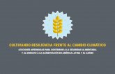 CULTIVANDO RESILIENCIA FRENTE AL CAMBIO CLIMÁTICO … AECID... · La resiliencia debe alcanzar no solo a la producción agrícola, sino a los ecosistemas, a las poblacio-nes y a