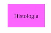 Seminario Histología II - Home | Universidad de Granadaclluch/Archivos/histol2.pdf · Histologia. 2 Fig. 1.3. Representación esquemática de diferentes tipos de tejidos: a) ...