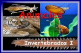 Animales - I.E.S "POETA CLAUDIO RODRÍGUEZ"iespoetaclaudio.centros.educa.jcyl.es/sitio/upload/invertebrados1b... · Reino METAZOOS (ANIMALES) Seres pluricelulares formados por células