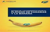 C/ Milicias de Garachico, 1. Edif. Hamilton, 7ª planta ... · 1. DIFERENCIAS DE COMPOSICIÓN NUTRICIONAL ENTRE EL PLÁTANO DE CANARIAS Y LA BANANA 1.1 HIDRATOS DE CARBONO El plátano