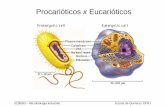 Procarióticos x Eucarióticos - UFRJ/EQ · EQB353 – Microbiologia Industrial Escola de Química / UFRJ Formas Celulares Menor bactéria - 0,2 µm (Chlamydia)