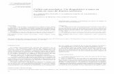 [0212-7199(2004) 21: 8; pp 387-390] ANALES DE MEDICINA I E ...scielo.isciii.es/pdf/ami/v21n8/nota2.pdf · ción y bioquímica con ionograma bilirrubina y fosfatasa alcalina con ...