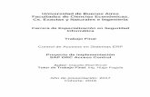Universidad de Buenos Aires Facultades de Ciencias ...bibliotecadigital.econ.uba.ar/download/tpos/1502-1192_ErcoliCE.pdf · fueron llevadas a cabo para lograr una exitosa implementación