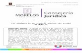 LeyOrgFiscaliaGralEdoMor - Consejeria Jurídicamarcojuridico.morelos.gob.mx/archivos/leyes/word/LFISCAL... · Web viewXIII. Protocolo: al Protocolo para el Tratamiento e Identificación