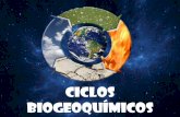CICLOS BIOGEOQUÍMICOS - noxservices.files.wordpress.com · CICLOS GASEOSOS Son aquellos en los cuales los nutrientes circulan principalmente entre la atmósfera y los organismos