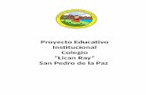 Proyecto Educativo Institucional Colegio “Lican Ray” San ... · IV.1.Descripción de la Comunidad Educativa IV.2.Análisis FODA IV.3.Descripción Organizacional V. ASPECTOS OPERATIVOS