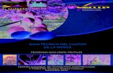 centa.gob.svcenta.gob.sv/docs/guias/frutales/GUIA CULTIVO PAPAYA.pdf2016-02-04 · centa.gob.sv