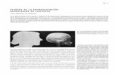 TEORÍAS DE LA REPRESENTACIÓN. ESTRATEGIAS DE … · A la izquierda de esta frase, Lissitzky reproducía el Rascacielos de Vidrio de 1922 y lo compa- raba literalmente con la imagen