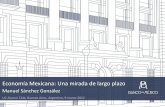 Economía Mexicana: Una mirada de largo plazo · químicos, farmacéuticos e instrumentos científicos Fuente: Banco de México con datos de INEGI Exportaciones por sectores % del
