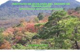 Presentación de PowerPoint - smaot.guanajuato.gob.mx · - Induce el mejor uso del territorio de acuerdo con su aptitud. ... En 2010 en México el Fondo de Desastres Naturales (FONDEN)