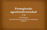Carla Bengoa Sociedad Peruana de Derecho Ambiental (SPDA) · (SPDA) El Convenio sobre la Diversidad Biológica fue la primera norma ambiental en proteger la “biodiversidad” de