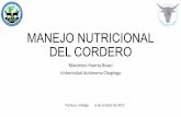 MANEJO NUTRICIONAL DEL CORDERO - borrego.mxborrego.mx/descargas/conferencias2015/BORREGOS/Manejo_nutricional... · (EM =2.95 Mcal EM/kg y 16.5% PROTEINA) Orden Ingredientes Porcentaje