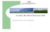 Guía de Practicum IIIde+PIII+INFANT... · Guía del tutor/a para el Practicum III. Grado de Educación Infantil UPV/EHU Escuela de Magisterio de Bilbao