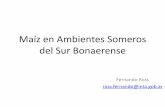 Maíz en Ambientes Someros del Sur Bonaerense · Soja Mz 2 pl m-2 Mz 3.5 pl m-2 Plasticidad Vegetativa Soja Mz 6 pl m-2 Mz 9 pl m-2. Intensidad del Estrés Hídrico. Estrés Hídrico