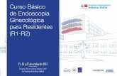 Introducción y objetivos de Endoscopia Ginecológica · Anestesia en cirugía laparoscópica Dr. José Ignacio Lora-Tamayo D´Ocón. Hospital Universitario Infanta Sofía (San Sebastián