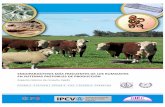 ENDOPARASITOSIS MÁS FRECUENTES DE LOS RUMIANTES tecnico DE LOS RUMIANTES... · endoparasitosis más frecuentes de los bovinos y ovinos incluyendo la información y experiencia más