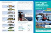 Pesca Recreativa muy vulnerable medianamente vulnerable en ... · introducción de especies invasoras generando desequilibrios eco - lógicos en algunos lugares de la costa mediterránea.