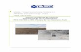 Informe Ambiental de Proyecto Perforación de Pozo ... · exploración PCR.CH.PGS.X-1001, dentro del Área Colhué Huapi, ubicado en el Departamento de Sarmiento, Provincia de Chubut,