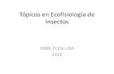 Tópicos en Ecofisiología de Insectos - FCEyN - UBA · Animales homeotermos y heterotermos. Tasa metabólica estándar o de reposo (SMR). Tasa metabólica basal (BMR). •Efecto