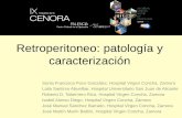 Retroperitoneo: patología y caracterizaciónradiologiazamora.com/files/R-0027.pdff_.pdf · • TC: masa de atenuación intermedia con realce ... inmediatamente por encima de la salida