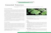 Comunidad Valenciana - phytoma.com · Las plagas que inciden en el cultivo de uva de mesa, ... Mosquito verde. ... Tigre del almendro.