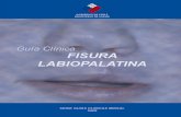 Guía Clínica 2009 Fisura Labio Palatina - minsal.cl · impedanciometria evaluacion kinesiologÍa audifonos (en caso de hsn profunda bilateral) evaluaciÓn fonoaudiologica. guía