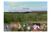 Les avanc ées de floraison des arbres fruitiers pr ... · J.M. Legave UMR 1098, F-34060 Montpellier legave@supagro.inra.fr Les avanc ées de floraison des arbres fruitiers pr ésentant