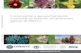 Conservación y aprovechamiento sostenible de - gob.mx · Actividades dentro del marco del «Primer Simposio Nacional de Plantas Ornamentales Nativas Mexicanas ... regular a los grandes
