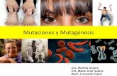 Mutaciones y Mutagénesis - medicos.sa.cr 2015/charlasmedicinamolecular... · errores y lesiones del ADN Mutaciones Diversidad genética-Diversidad de los organismos Materia prima