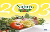 Calendario Recet ari o · 1 cucharadade aceite Natura 350 g de tomates pequeños cortados ... pim ienta Kcal 532 Vit.A 2176U ... D L M M J V S D iciemb r e