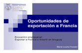 Encuentro empresarial: Exportar a Francia e Invertir en ... Oportunidades de exportacion a... · 10 principales productos de importaciones de Francia en el mundo 0 10,000 ... Brasil