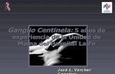 Ganglio Centinela: 5 años de experiencia de la Unidad de ...smnimvm.es/pdf/GCENTINELA_LAFE.pdf · Metodología (protocolo de un día) 1. Detección gammagráfica I. Radiotrazadores