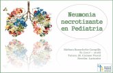 Bárbara Banacloche Campillo R1 (2017 2018) Sección: Lactantes³n-R1_B... · Lai JY, Yang W, Ming YC. Surgical management of complicated necrotizing pneumonia in children. Pediatr