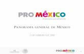 PANORAMA GENERAL DE MÉXICO - iploca.com · Partes y accesorios de vehículos Teléfonos y equipos 4.7% de comunicación Vehículos de transporte .6% Computadoras y partes 4.6% ...