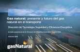 Gas natural: presente y futuro del gas natural en el ... · Objeto de la presentación Establecer las condiciones de entorno en las que se tiene que iniciar el desarrollo del gas