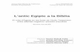 L'antic Egipte a la Bíblia - L'Oberta en Obert: Homeopenaccess.uoc.edu/webapps/o2/bitstream/10609/1247/1/36293tfc.pdf · Bíblia el va fer Noth en proposar la identificació de cicles