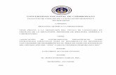 UNIVERSIDAD NACIONAL DE CHIMBORAZO - …dspace.unach.edu.ec/bitstream/51000/2010/1/UNACH-FCEHT-TG-E.BQYLAB... · el desarrollo de destrezas con criterio de desempeÑo en el ÁREA
