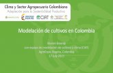 Modelación de cultivos en Colombia - aclimatecolombia.org · Desarrollando un modelo mecanístico de yuca 𝐿 𝑎 𝑠𝑖𝑧 𝑚𝑎𝑥∗ GDD∗10−3 +0.1. Conclusiones •Modelos