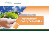 Responsabilidad Social y Sostenibilidad · • Comprender la incidencia de las organizaciones en el desarrollo local y su ... que mejoren la gestión sostenible de sus organizaciones