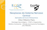 Neoplasias do Sistema Nervoso Central · Neoplasias do Sistema Nervoso Central Aplicações da Imuno-Histoquímica Vítor Ribeiro Paes Patologia Neurológica –FOSP e Diagnóstika