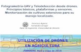 Fotogrametría-UAV y Teledetección desde drones. Principios … · 2016-04-22 · Fotogrametría-UAV y Teledetección desde drones. Principios básicos, plataformas y sensores. Monitorización