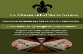 Licenciatura en Agronegocios Internacionales - uv.mx · Fortalecer las cadenas y empresas dedicadas a los agronegocios, agregando valor y cali-dad a los productos agroalimentarios