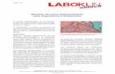 Biopsias del tracto gastrointestinal: usos diagnósticos y ...v17.laboklin.com/pdf/es/aktuell/lab_akt_1601_es.pdf · usos diagnósticos y limitaciones. ... la vesícula biliar. La