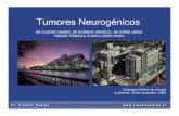 tumores neurogenicos MSCCH 2009 - claudiosuarez.cl · • Areas de calcificación, hemorragia o necrosis. • Están compuestos de pequeñas células redondas ordenadas en hojas o