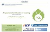 CEFOC-DCT - coachingestructural.com · descripción de tu perfil. Estar localizable con el buscador internacional de coaches en Coaching Estructural®. Incluir el enlace de CEFOC