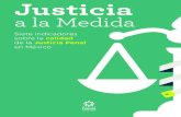 Justicia a la Medida - proyectojusticia.orgproyectojusticia.org/.../uploads/2017/02/Justicia_a_la_medida-1.pdf · Radiografía del dispendio presupuestal 4 2016 México Evalúa, Centro