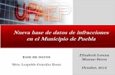 Nueva base de datos de infracciones en el Municipio de Puebla · Aprendiz Chofer Automovilista Chofer de Serv. Púb. Motociclista Chofer de Serv. Púb. Federal Motivo de la infracción