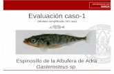 Evaluación caso-1 · robusta con una boca amplia, reduce el número de placas laterales y espinas dorsales. ... (Modelo simplificado NO real) Salamandra de Sanabria Salamandra sanabriensis